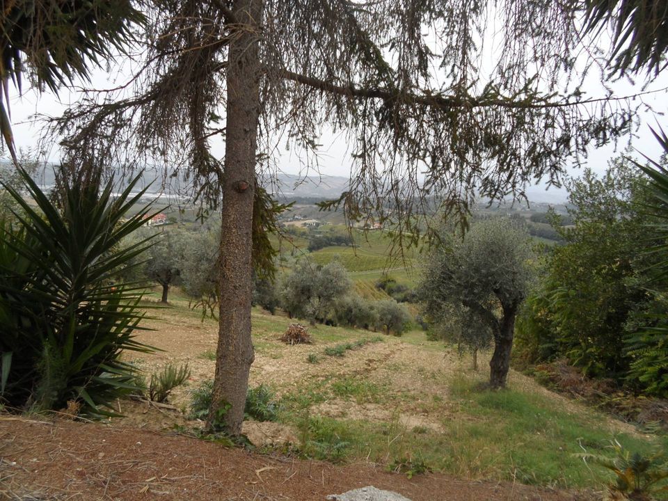 Helårsgrund i Monteprandone, Ascoli Piceno - foto 1