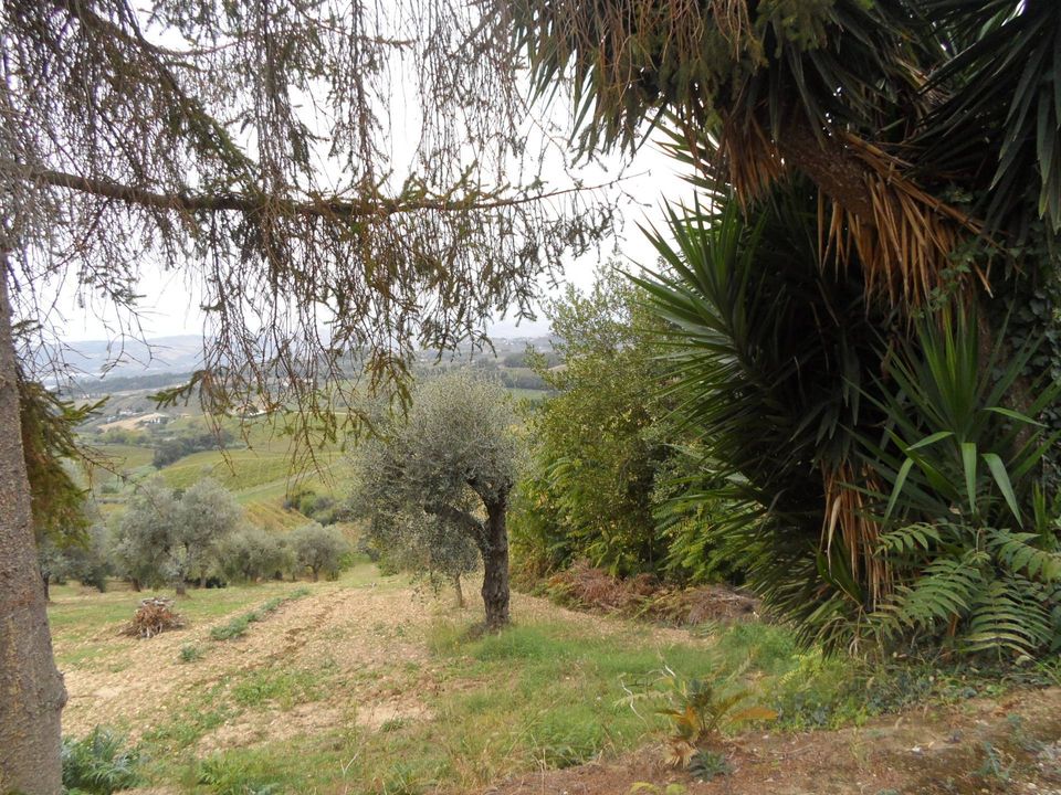Helårsgrund i Monteprandone, Ascoli Piceno - foto 3