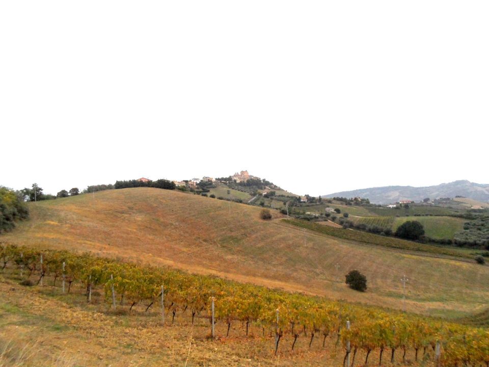 Helårsgrund i Monteprandone, Ascoli Piceno - foto 1