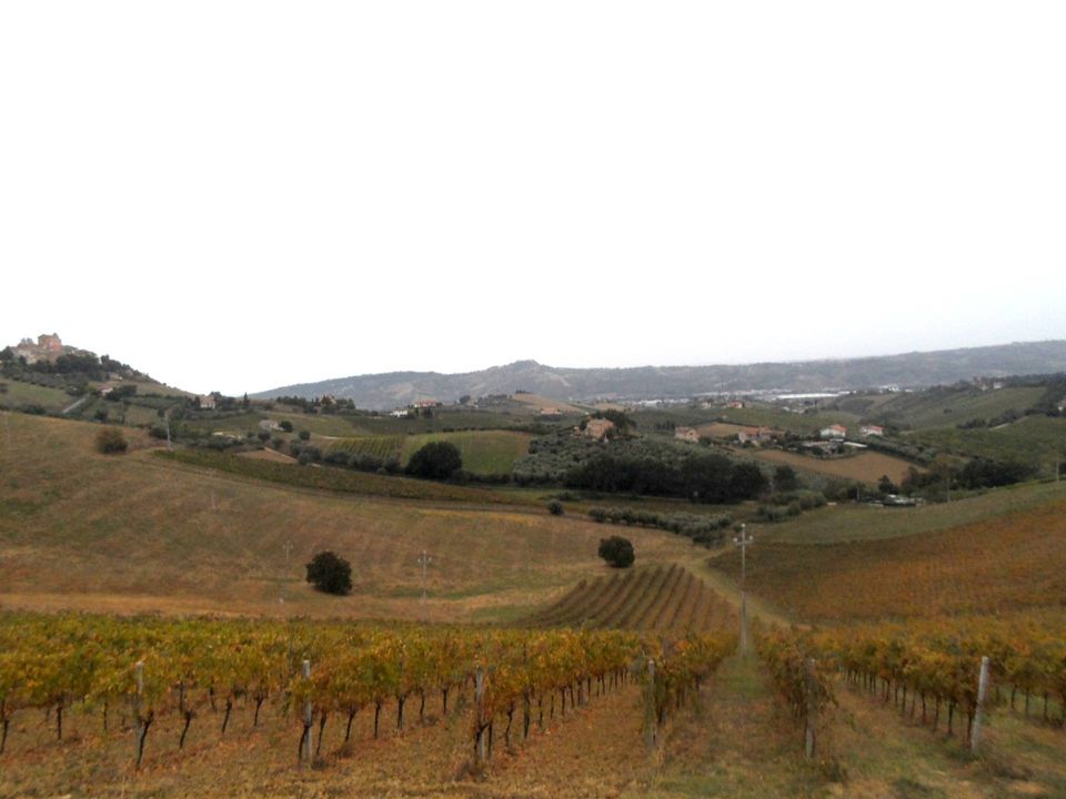 Helårsgrund i Monteprandone, Ascoli Piceno - foto 2