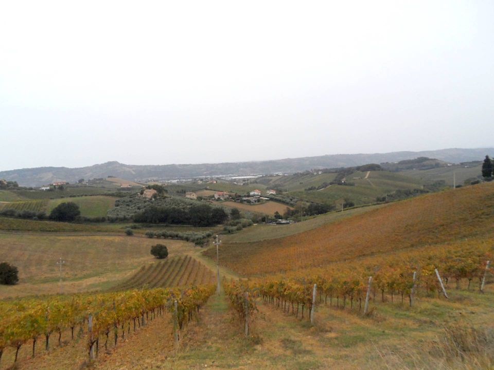 Helårsgrund i Monteprandone, Ascoli Piceno - foto 3