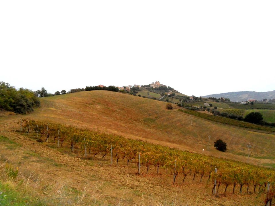 Helårsgrund i Monteprandone, Ascoli Piceno - foto 4