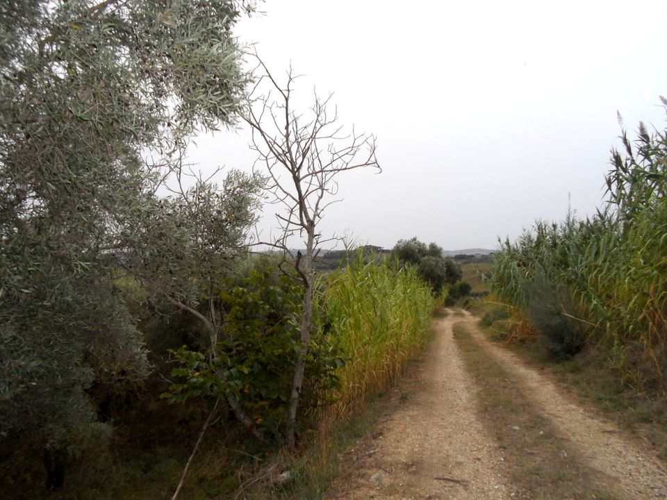 Helårsgrund i Monteprandone, Ascoli Piceno - foto 1