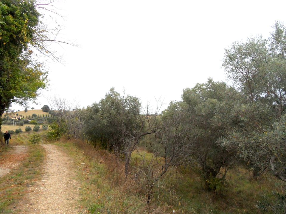 Helårsgrund i Monteprandone, Ascoli Piceno - foto 2