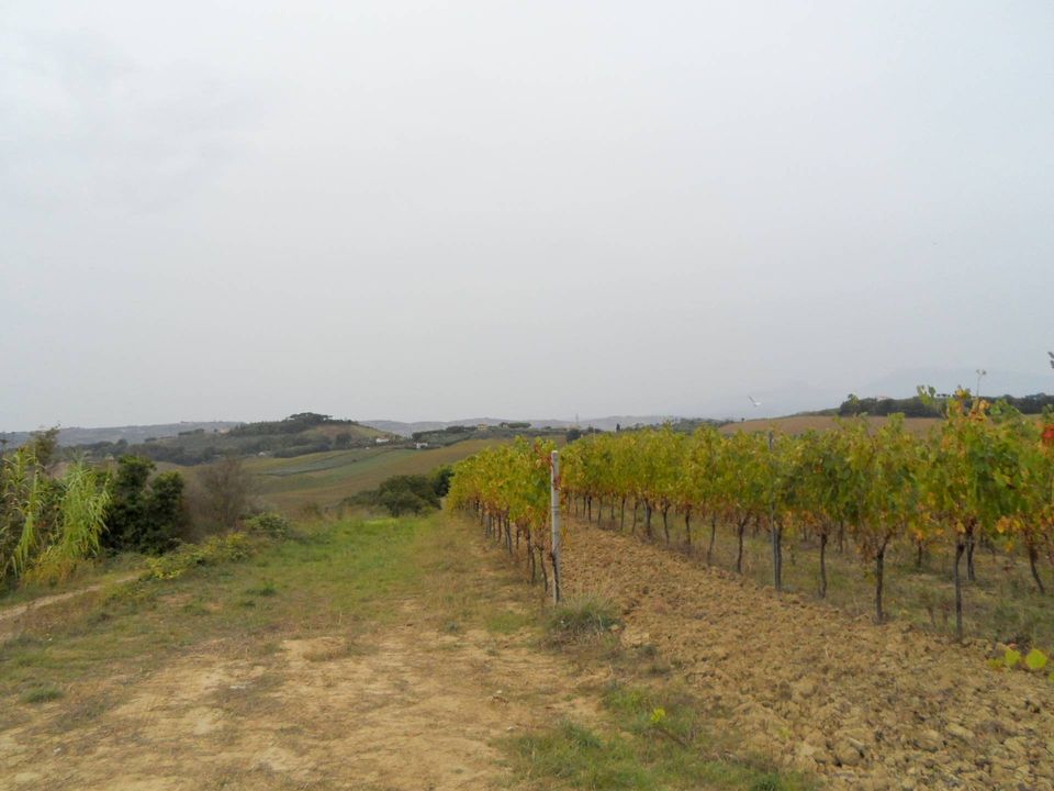 Helårsgrund i Monteprandone, Ascoli Piceno - foto 3