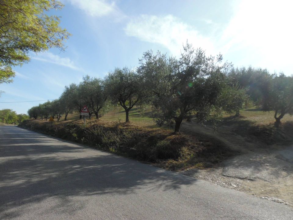 Helårsgrund i Controguerra, Teramo - foto 3
