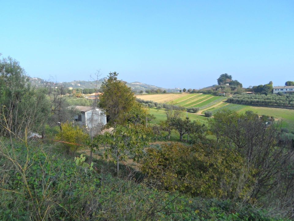 Helårsgrund i Monteprandone, Ascoli Piceno - foto 3