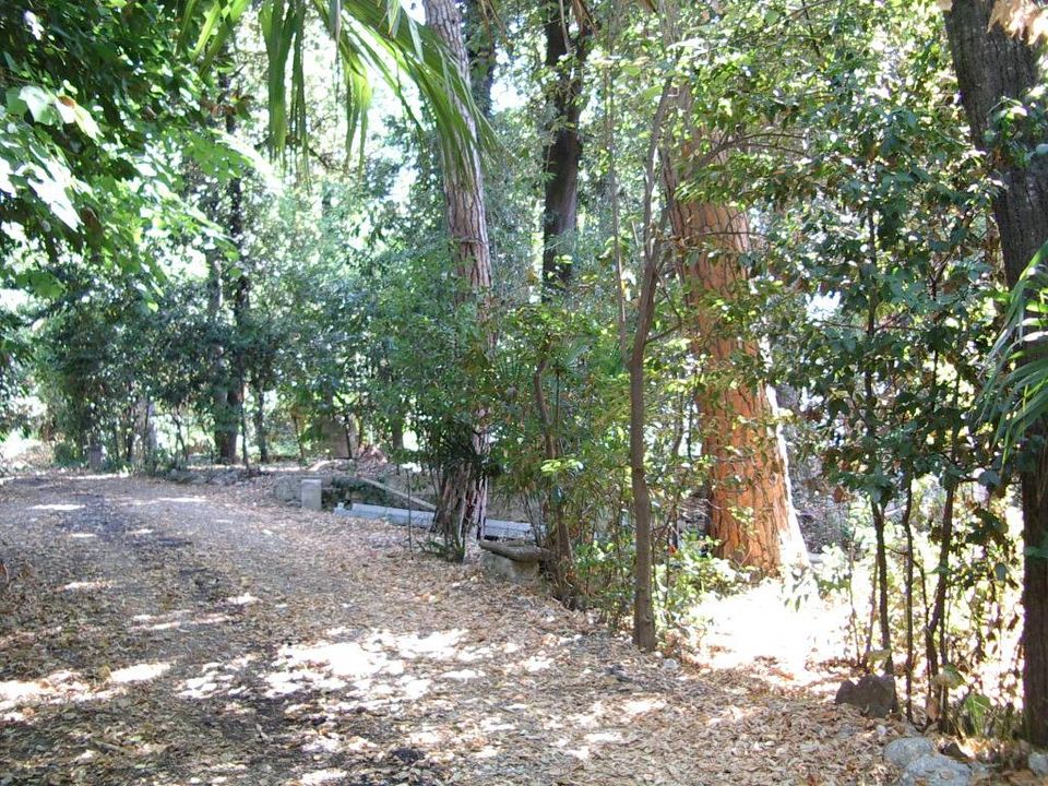 Villa i Colli del Tronto, Ascoli Piceno - foto 3