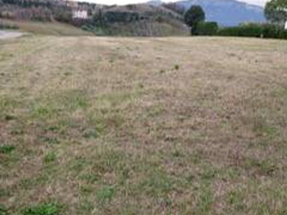 Terra a Castorano, Ascoli Piceno - foto 1