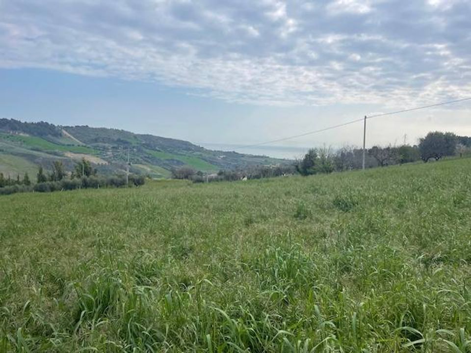 Tomt i Monteprandone, Ascoli Piceno - bilde 2
