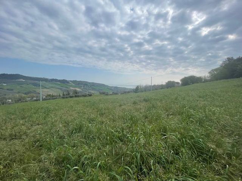 Tomt i Monteprandone, Ascoli Piceno - bilde 3