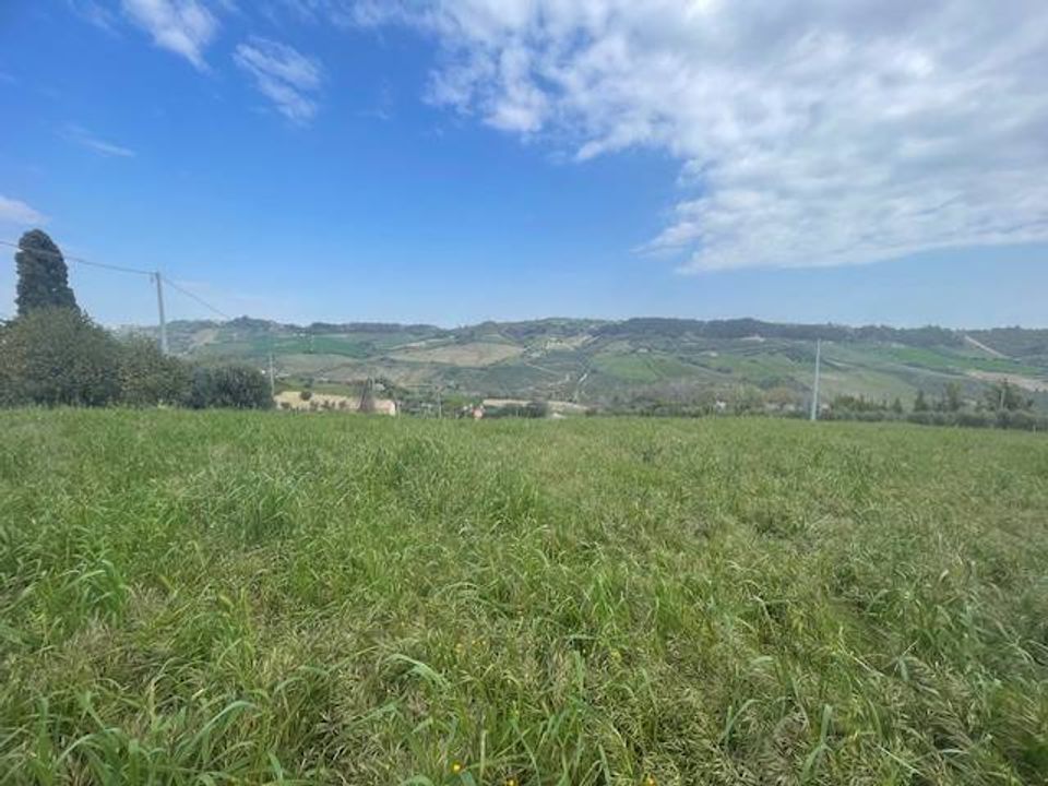 Tomt i Monteprandone, Ascoli Piceno - bilde 4
