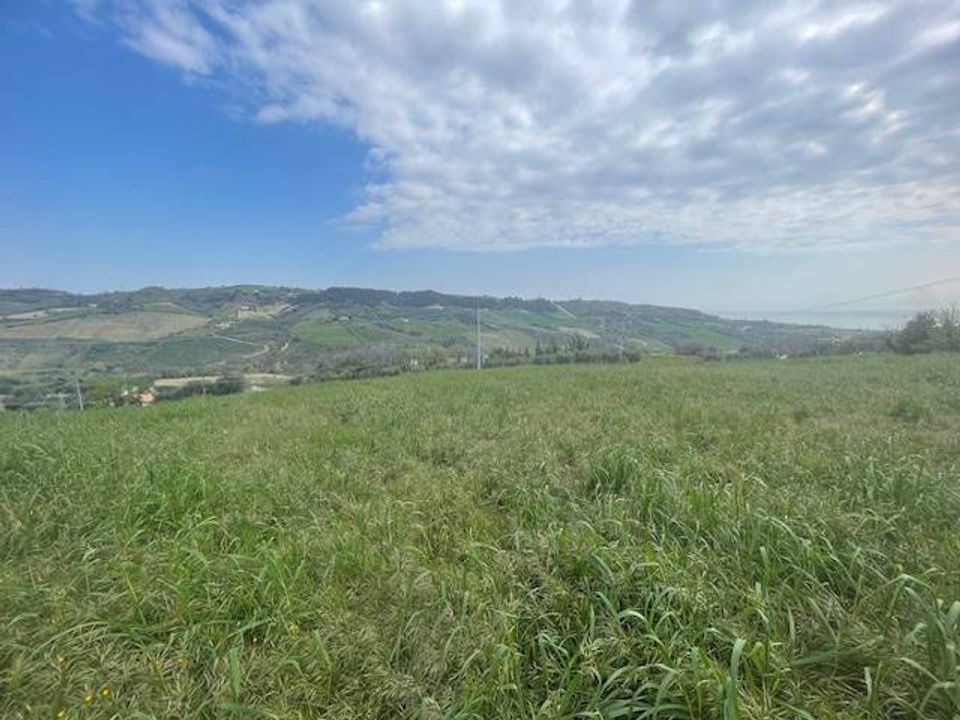 Tomt i Monteprandone, Ascoli Piceno - bilde 5