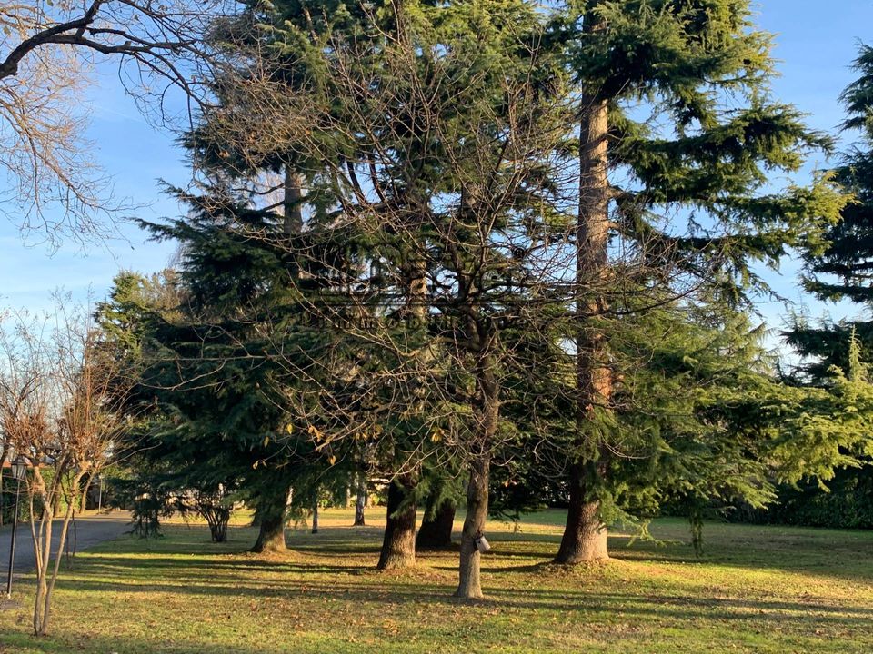 Villa i Preganziol, Treviso - foto 2