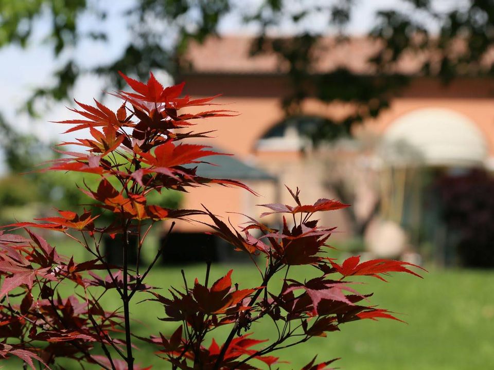 Landejendom i Treviso, Treviso - foto 3