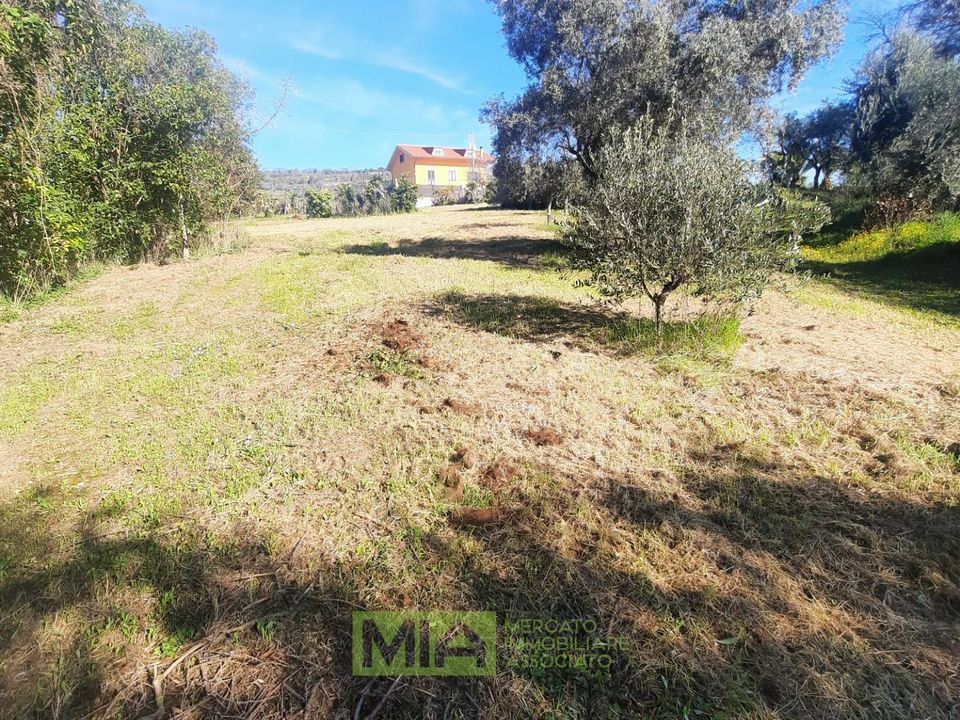 Helårsgrund i Altidona, Fermo - foto 1