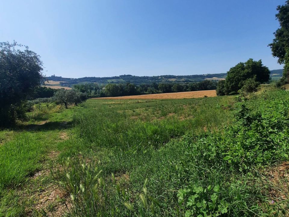 Helårsgrund i Altidona, Fermo - foto 1