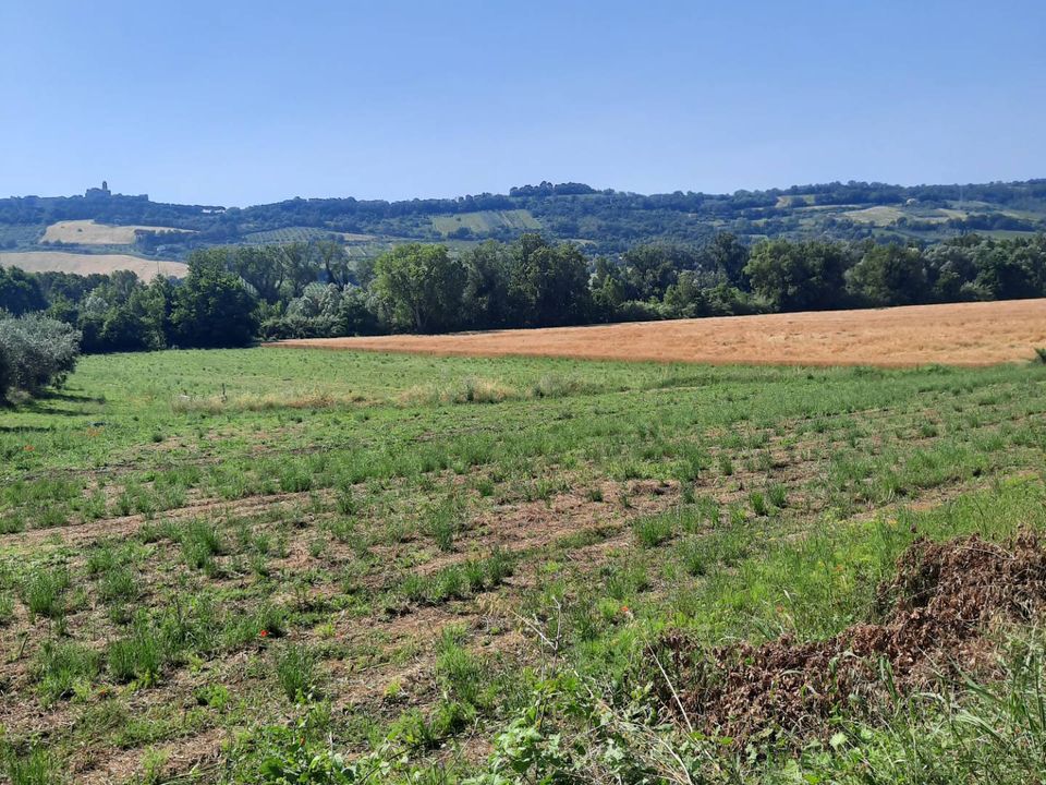 Helårsgrund i Altidona, Fermo - foto 2