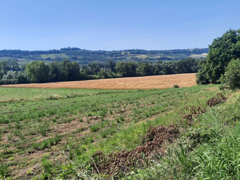 Helårsgrund i Altidona, Fermo - foto 3