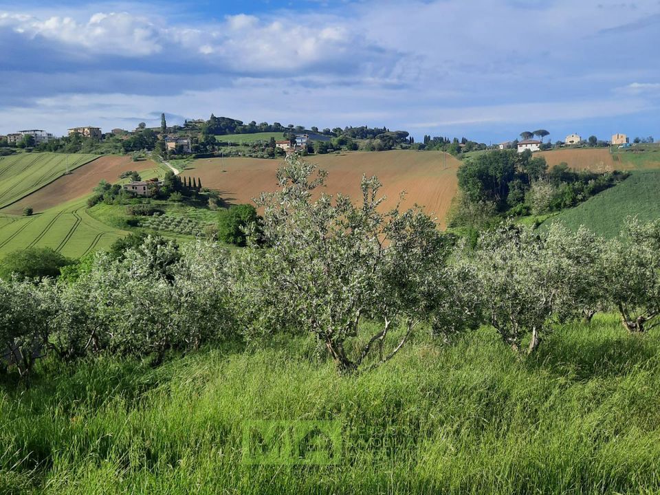 Helårsgrund i Montegranaro, Fermo - foto 1