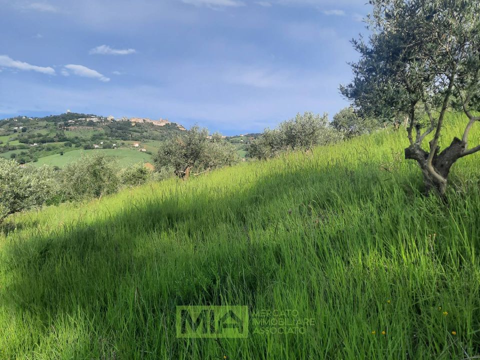 Helårsgrund i Montegranaro, Fermo - foto 3