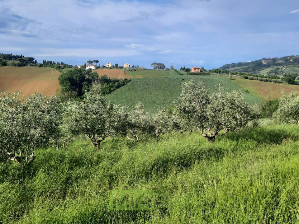 Helårsgrund i Montegranaro, Fermo - foto 4