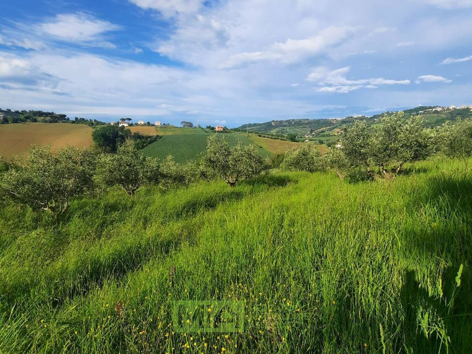 Helårsgrund i Montegranaro, Fermo - foto 5