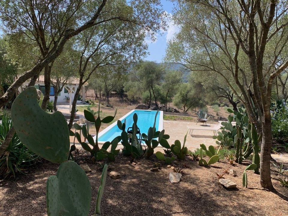 Villa i Olbia, Olbia Tempio - foto 4