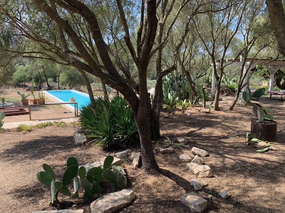 Villa i Olbia, Olbia Tempio - foto 3