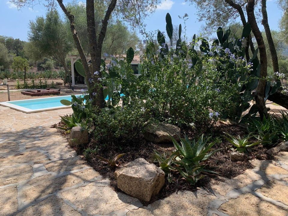 Villa i Olbia, Olbia Tempio - foto 2