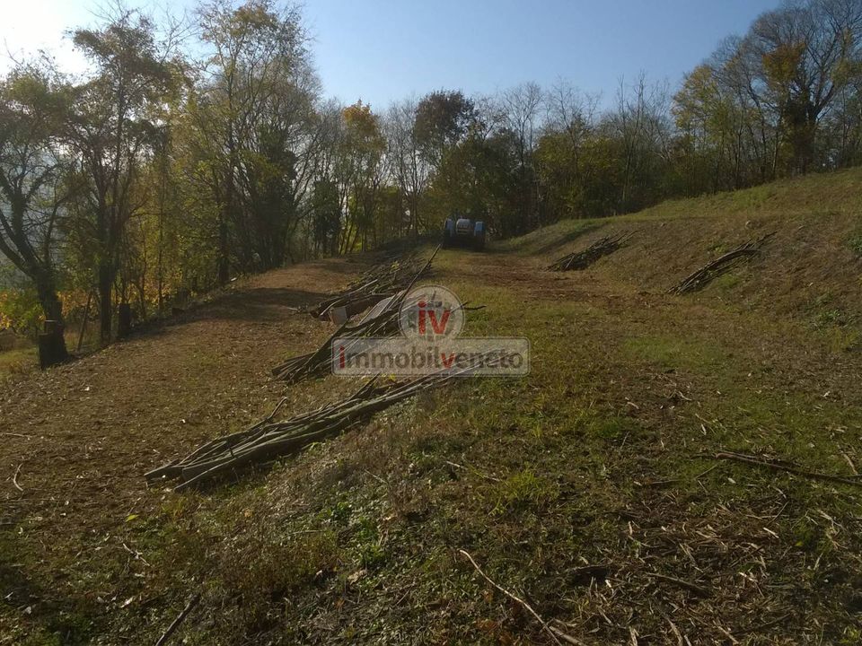 Helårsgrund i Brendola, Vicenza - foto 2