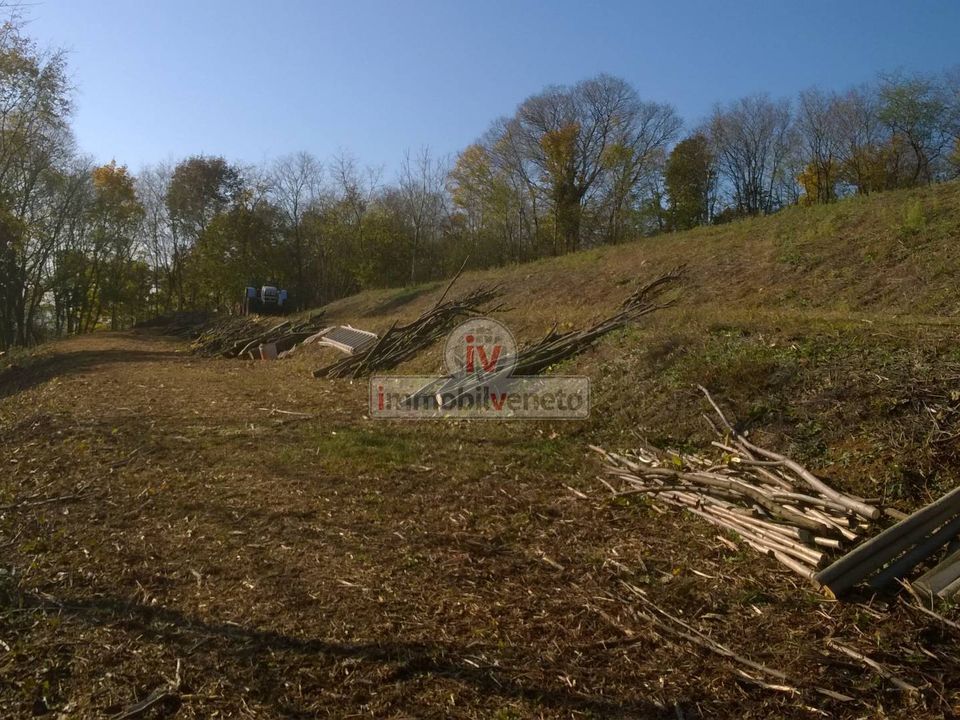 Helårsgrund i Brendola, Vicenza - foto 3