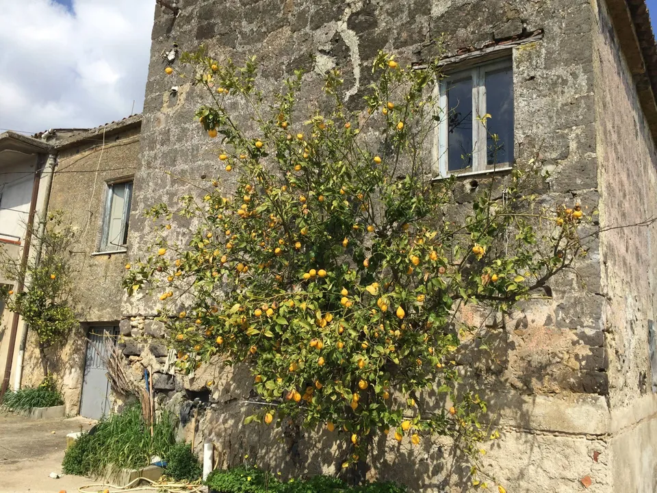 Landejendom i Telese Terme, Benevento - foto 1