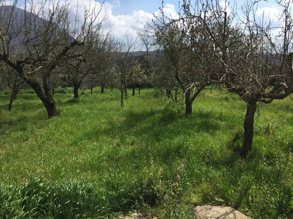 Landejendom i Telese Terme, Benevento - foto 4