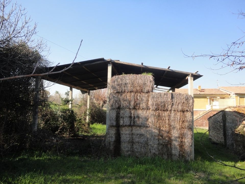 Maison de campagne - Montelupone, Macerata - photo 5