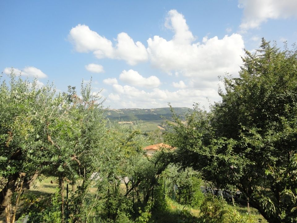 Villa i Serra San Quirico, Ancona - foto 3