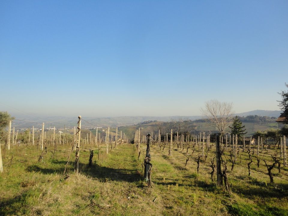 Maison de campagne - Monte Roberto, Ancona - photo 3