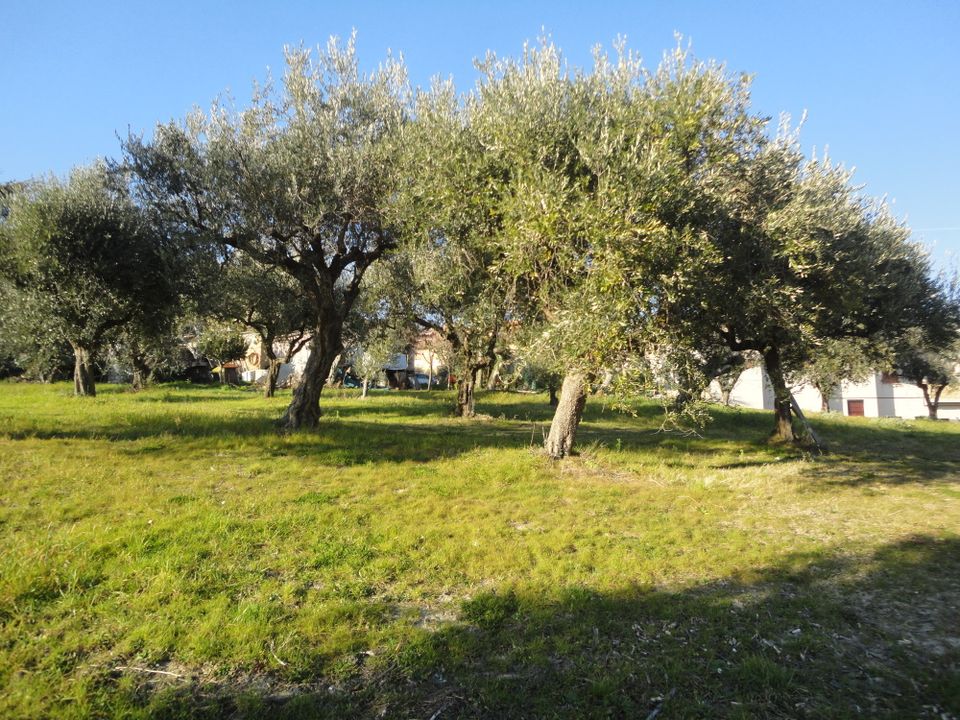 Maison de campagne - Monte Roberto, Ancona - photo 4