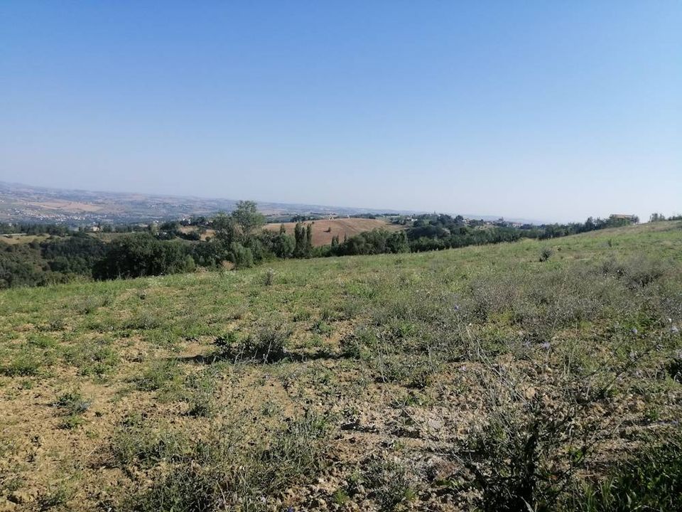 Landejendom i Poggio San Marcello, Ancona - foto 3