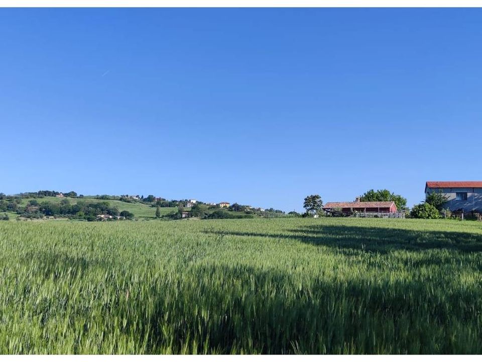 Helårsgrund i Serra de' Conti, Ancona - foto 1