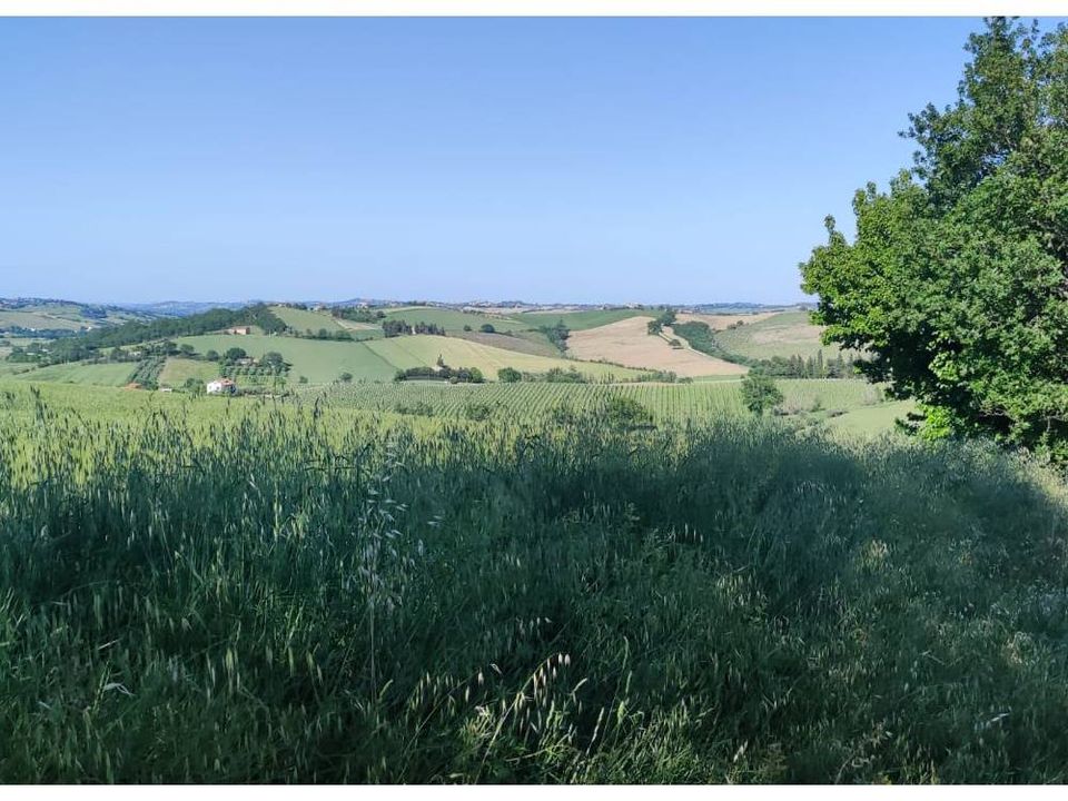 Helårsgrund i Serra de' Conti, Ancona - foto 2