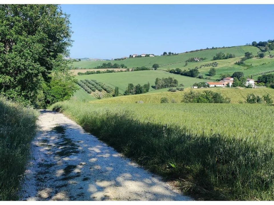Helårsgrund i Serra de' Conti, Ancona - foto 4