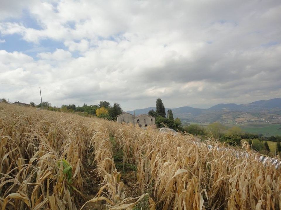 Erhvervsejendom i Poggio San Marcello, Ancona - foto 3