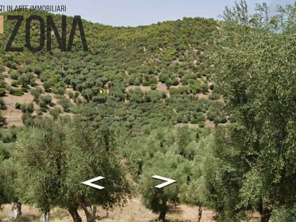 Helårsgrund i Vieste, Foggia - foto 4