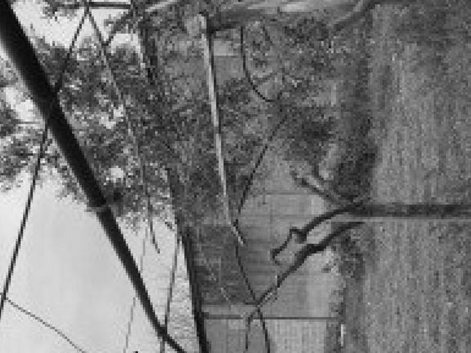 Helårsgrund i Cerignola, Foggia - foto 4