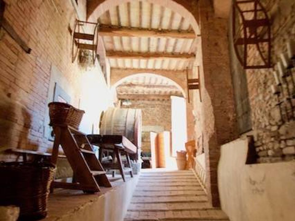 Leilighet i Certaldo, Florence - bilde 3