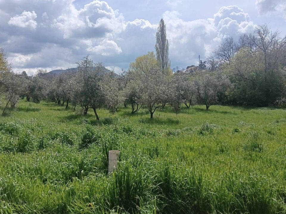 Villa i Viterbo, Viterbo - foto 2