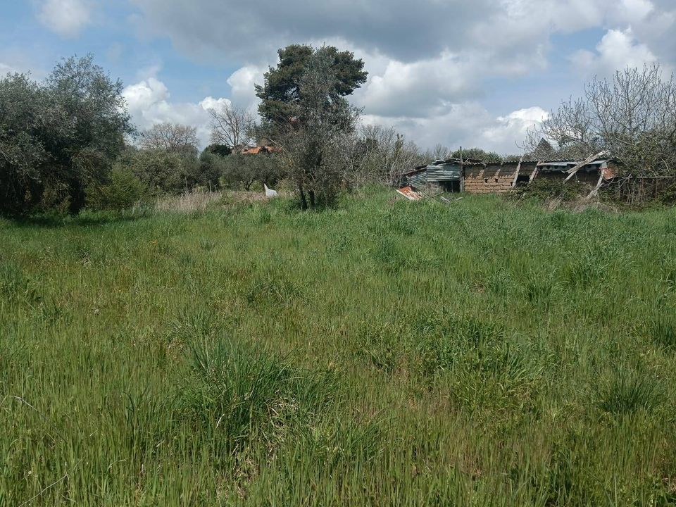 Villa i Viterbo, Viterbo - foto 3