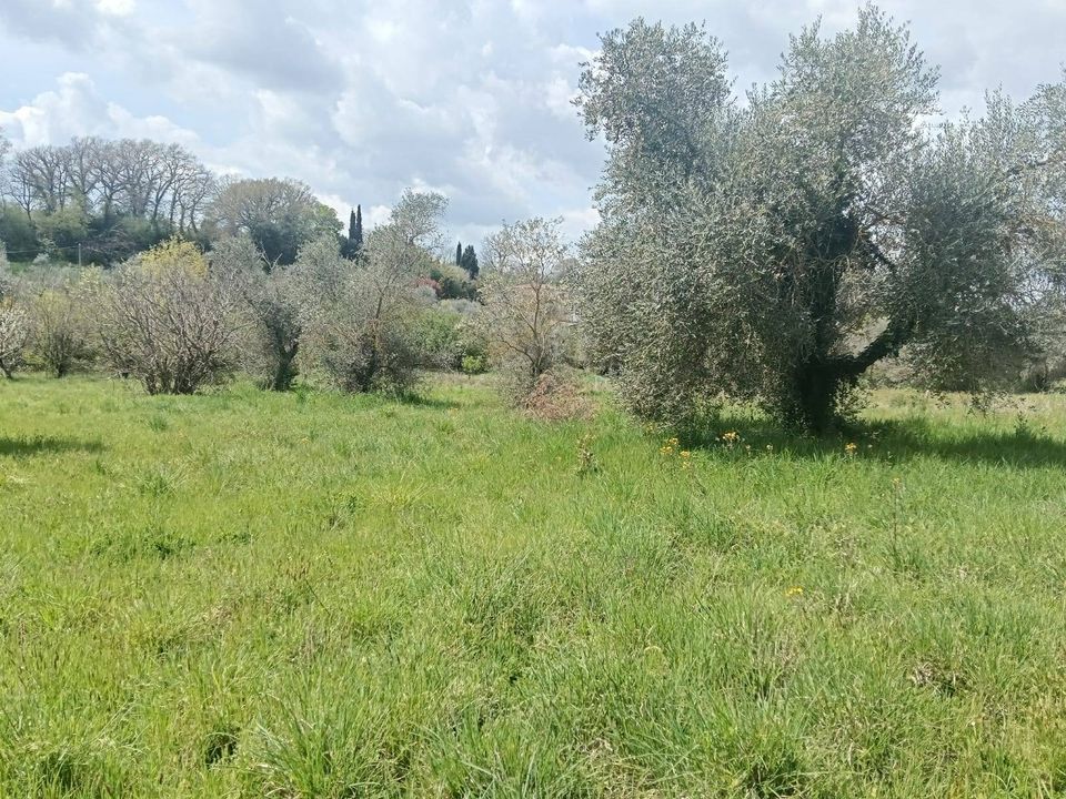 Villa i Viterbo, Viterbo - foto 4
