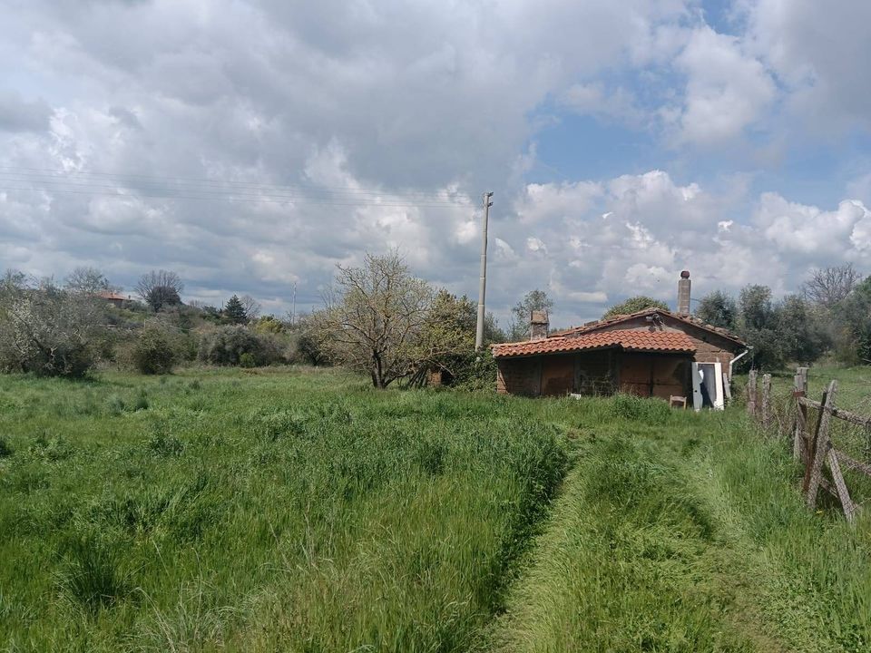 Villa i Viterbo, Viterbo - foto 5